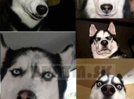 Ten výraz jednoducho stojí za to :D