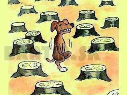 Utrpenie pre psa, ktorý sa nemá kam vyčúrať :D