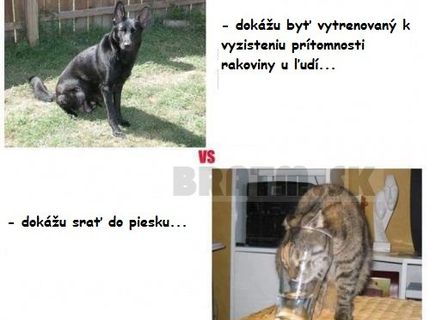 Toto dokážu naši miláčkovia :D