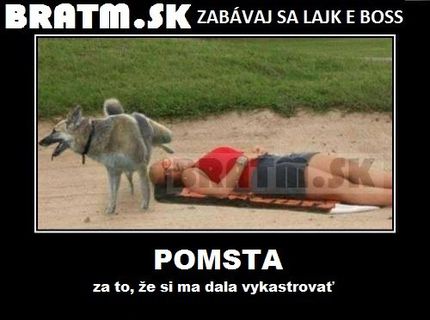 Pomsta zvierat je krutá :D