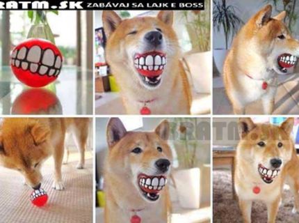 Funny lopta pre vašeho miláčika :)