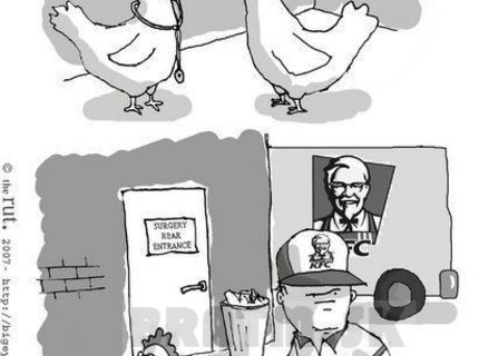 Kšefty vo svete sliepok :D