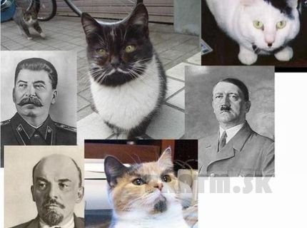 Tak toto je podoba :D
