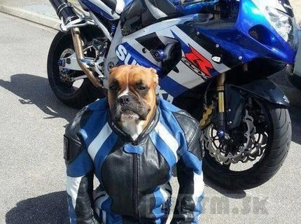 Najkrajší motorkár :) súhlasíte ? :)