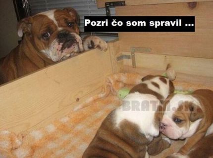 Pyšný tatko :)