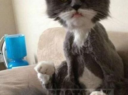 No tááák! už sa prestaň smiať :D !!!