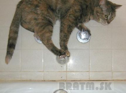 Kdekoľvek...len nie do vody :D