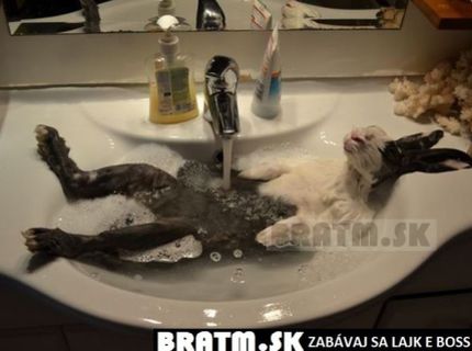 Brááácho to je teda relax :D kto si dnes spraví poriadny relax lajk ! :D