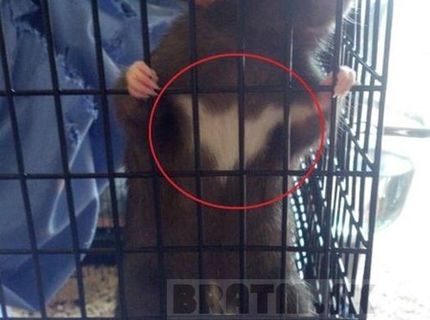 Čo vám to pripomína ? :D