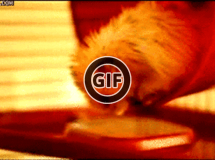 Jeeeej to je zlatééé :D ruku na srdce kto ešte nespadol z postele?:D