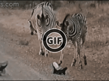 Tak tomuto sa povie správny rodič :D