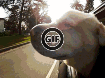 Rozkošné :D klikni pre zobrazenie :)