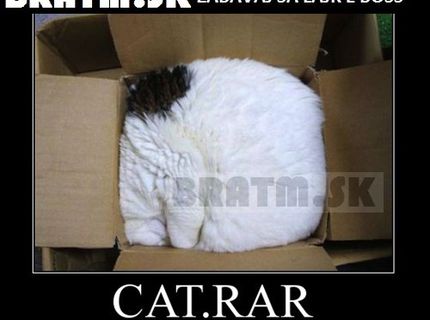 Ako to vyzerá, keď sa zbalí mačka do .RAR  :D