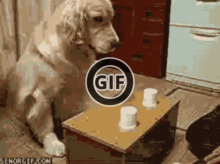 Ten je ale šikovný :) :)