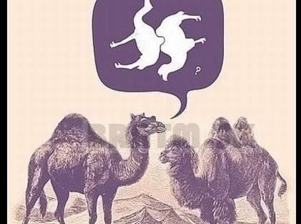 Na čo myslia ťavy ? :D :D