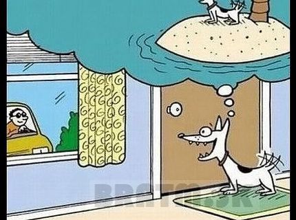 Čo si myslí váš psík :)