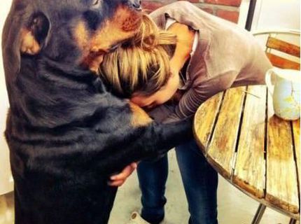 Pes-najlepší priateľ človeka = LIKE ! :)