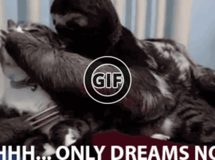 BRATM GIF: Spi sladko moja drahá... krvilačná beštia :D