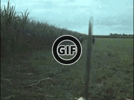 BRATM GIF: Tak toto je už aký skiller :D to musíš vidieť :D