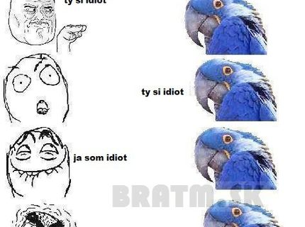 Úprimný papagáj :D :D