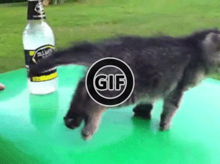 BRATM GIF: Tak toto je aký rozkošný pád :D