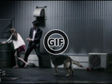 BRATM GIF: Ako to môže dopadnúť, keď sa žena zľakne psa :D