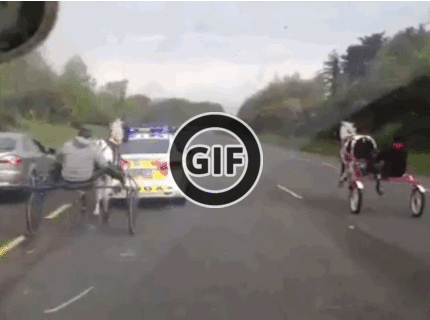 BRATM GIF: Zábavná policajná naháňačka :D