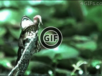 BRATM GIF: Haluznééé :D chudáčik uplne vedľa :D