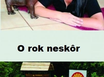 Ako to dopadne s domácim miláčikom keď vás prerastie?:D