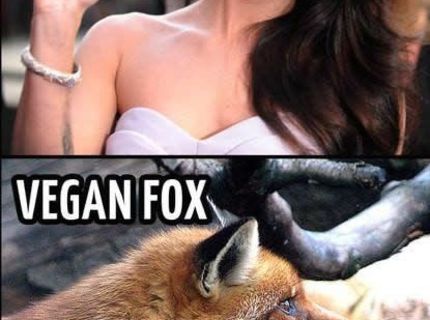 Megan Fox vs. Vegan Fox :D
