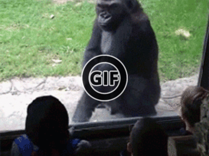 BRATM GIF: Už mám toho vážne dosť ! :D