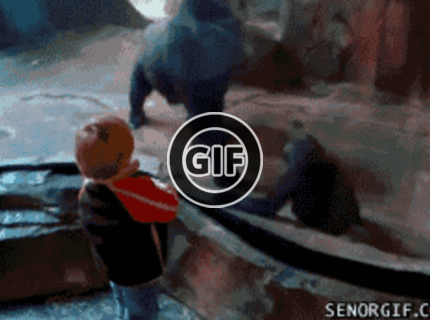 BRATM GIF: Rozkošnéééé ... zvieratká majú niekedy viac rozumu ako.. :D