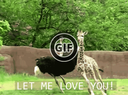 BRATM GIF: Tak toto je naozaj zvláštny párik :D