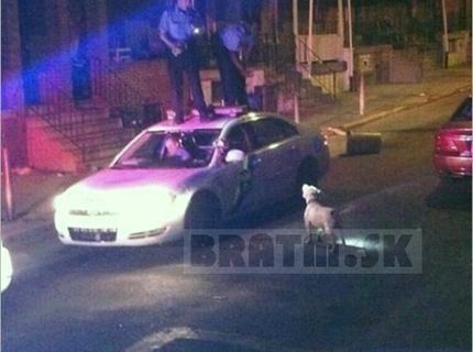 NEUVERITEĽNÉ! Bratmmm fešáci to trošku nezvládli :D