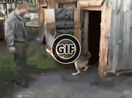 BRATM GIF: Heeej! neotravujte ma, chcem byť sám :D