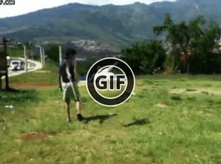 BRATM GIF: Extrémne obratný psík v akcí.. zlatééé :)