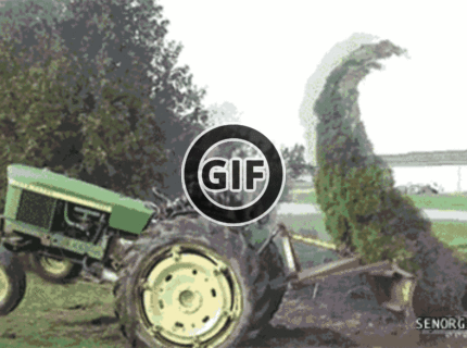 BRATM GIF: Tam máš ty sviňa jedna ! :D:D:D:D