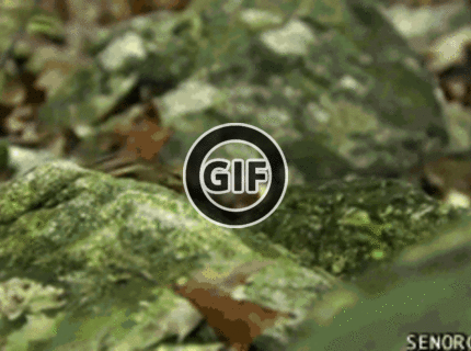 BRATM GIF: Tak toto je naozaj rýchlosť :D