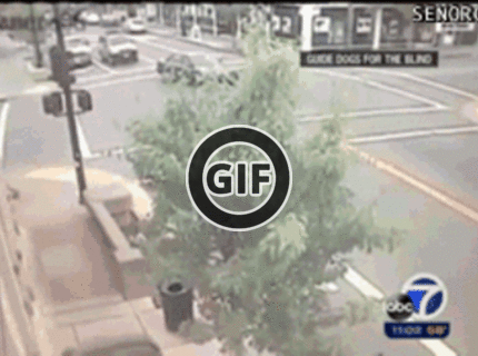 BRATM GIF: Niektorí šoféri sú jednoducho šialení :D