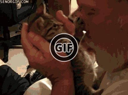 BRATM GIF: Jeeej...roztomilé mačiatko :)