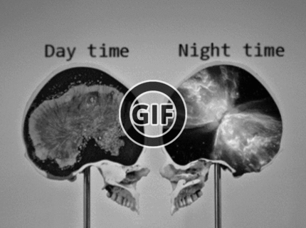 BRATM GIF: Vedci objasnili, čo sa deje s nami keď nemôžeme zaspať:D