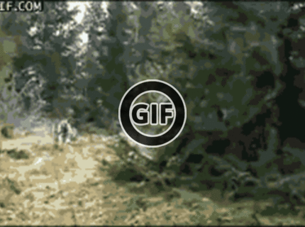 BRATM GIF: Aj ty by si takto utekal ? :D