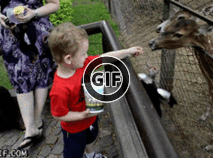 BRATM GIF: Nenápadný zlodej dobrôt :D