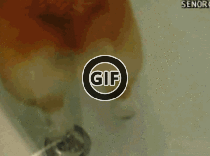 BRATM GIF: Psík si ten kúpeľ naozaj užíva :D