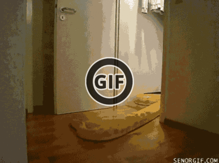 BRATM GIF: Fuuuuj tak toto by som nechcel stretnúť :D