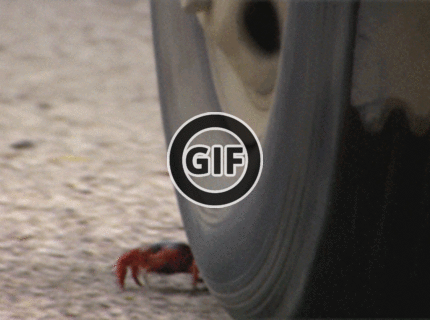 BRATM GIF: OUuu SHIT ! :D skoro to nestihol :D