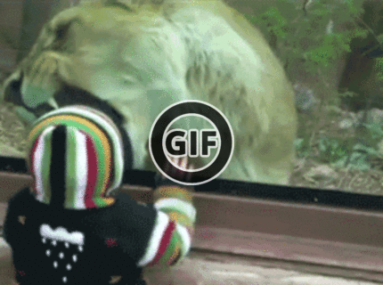 BRATM GIF: Asi je chudáčik hladný :D