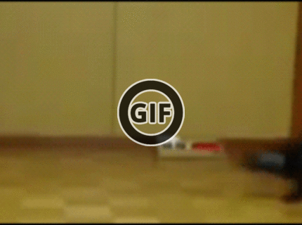 BRATM GIF: Hra s mačkou..môže vyzerať aj takto :D