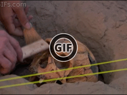 BRATM GIF: Archeologický nález :D Ľudia, hlavne opatrne  ! :D