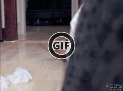 BRATM GIF: Podarené :D stále sa približuje ...krásne :)